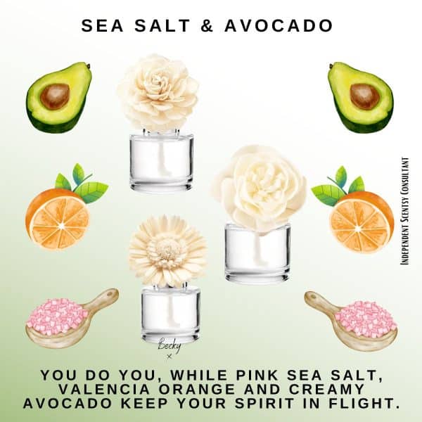 Sea Salt & Avocado Scentsy Fragrance Flower