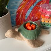 Aloha Spirit Scentsy Warmer Styled