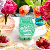 Bloom-ing Marvelous Scentsy Bar