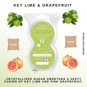 Key Lime & Grapefruit Scentsy Fragrance Pods