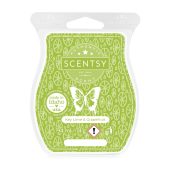 Key Lime & Grapefruit Scentsy Wax Bar