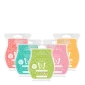 Summer Collection Scentsy Wax 5 Bar Bundle