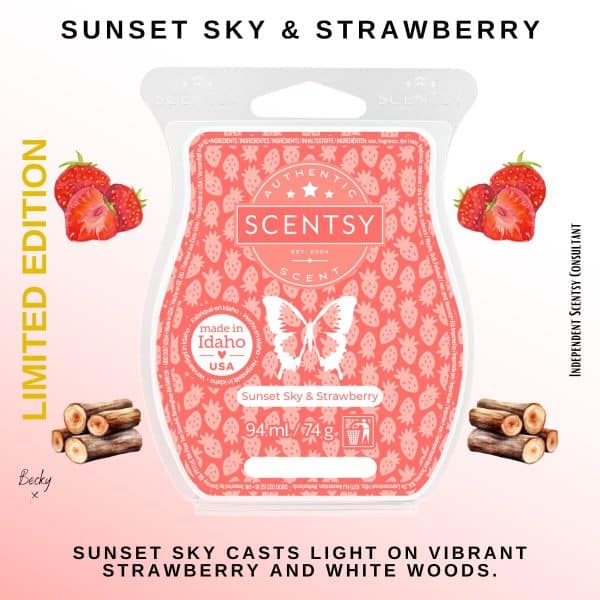 Sunset Sky & Strawberry Scentsy Bar