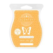 Tropical Coconut Nectar Scentsy Wax Bar