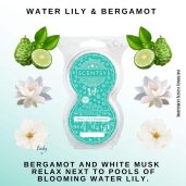 Water Lily & Bergamot Scentsy Fragrance Pods