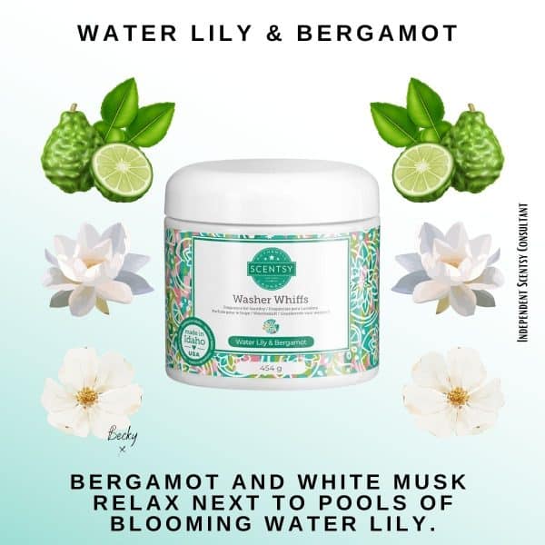 Water Lily & Bergamot Scentsy Washer Whiffs