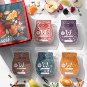 Harvest 2024 Scentsy Wax 5 Bar Bundle Styled