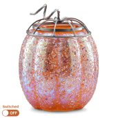 Pumpkin Sparkle Scentsy Warmer Switched Off