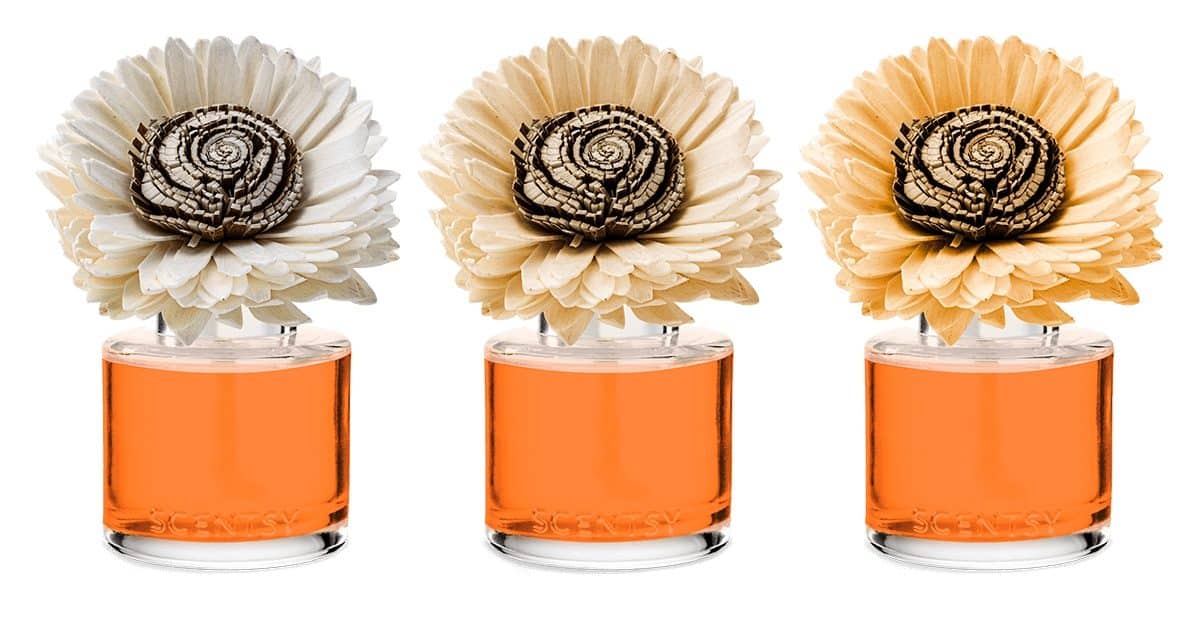 Sparkling Spiced Citrus − Stunning Scentsy Sunflower Fragrance Flower ...