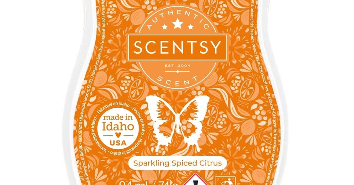 Sparkling Spiced Citrus Scentsy Bar - The Candle Boutique - Scentsy UK ...