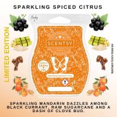 Sparkling Spiced Citrus Scentsy Bar