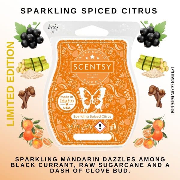 Sparkling Spiced Citrus Scentsy Bar