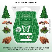 Balsam Spice Scentsy Wax Bar