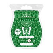 Balsam Spice Scentsy Wax Bar