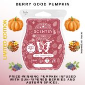 Berry Good Pumpkin Scentsy Wax Bar