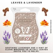 Leaves & Lavender Scentsy Wax Bar