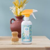 Ocean Air & Coconut Water Scentsy Bathroom Cleaner Styled