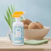 Ocean Air & Coconut Water Scentsy Counter Clean Styled