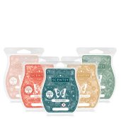 2024 Christmas Scentsy Bar 5-pack