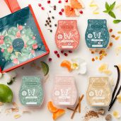 2024 Christmas Scentsy Bar 5-pack