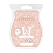 Bundle Up Scentsy Bar