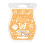 Clementine Blossom Scentsy Bar