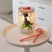 Frosted Mistletoe Scentsy Warmer