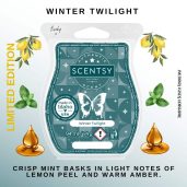 Winter Twilight Scentsy Bar