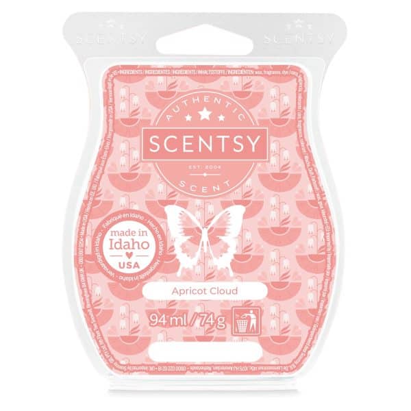 Apricot Cloud Scentsy Bar