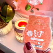 Petals & Peaches Scentsy Bar Styled