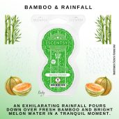 Bamboo & Rainfall Scentsy Fragrance Pods