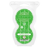 Bamboo & Rainfall Scentsy Pod Twin Pack