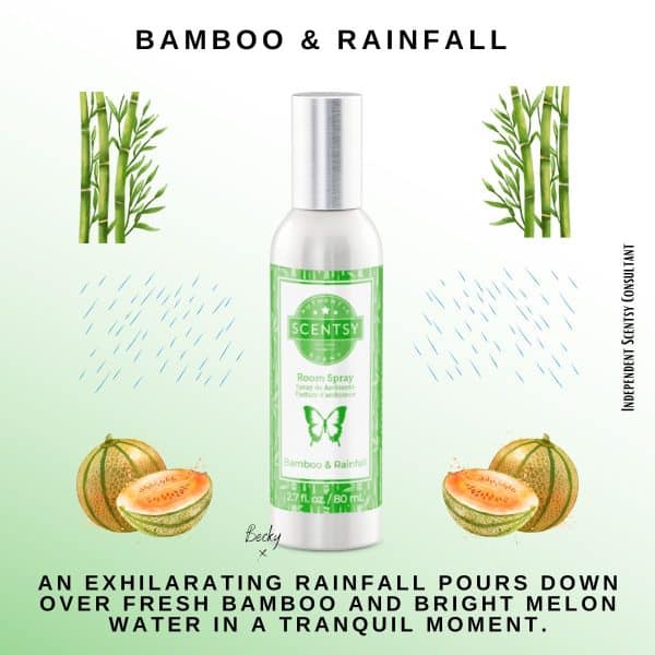 Bamboo & Rainfall Scentsy Room Spray