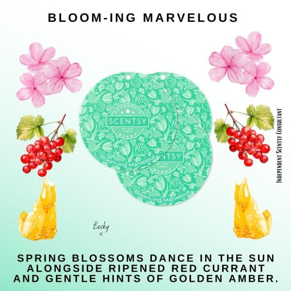 Bloom-ing Marvelous Scentsy Scent Circle