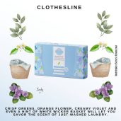 Clothesline Scentsy Suds