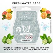 Freshwater Sage Scentsy Wax Bar