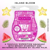 Island Bloom Scentsy Wax Bar