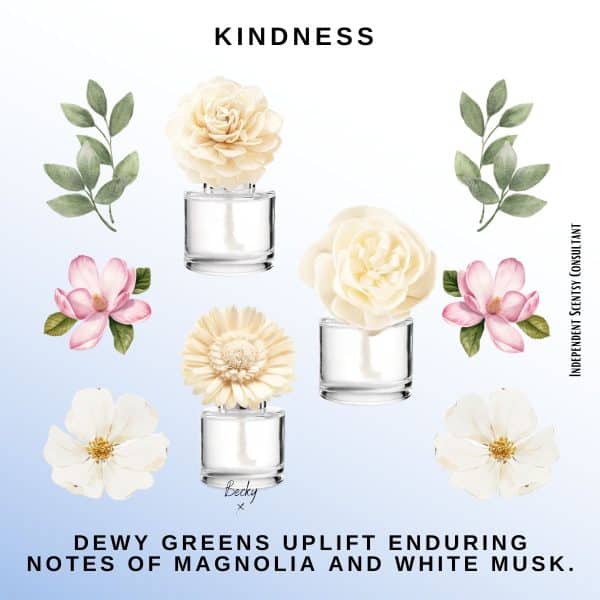 Kindness – Scentsy Fragrance Flower – Buttercup