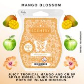 Mango Blossom Scentsy Wax Bar