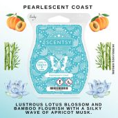 Pearlescent Coast Scentsy Wax Bar