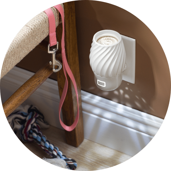 Scentsy Air Mini +