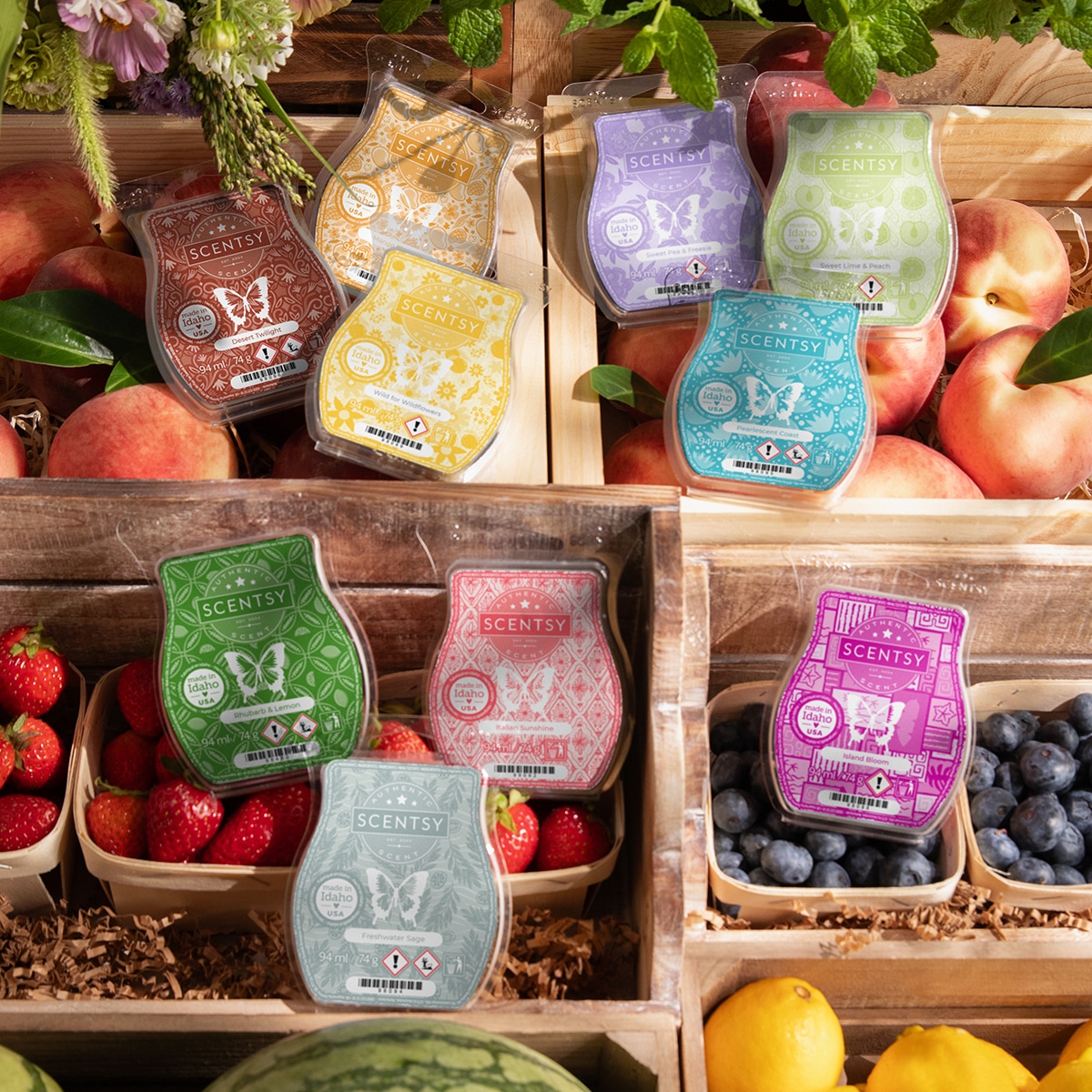 Scentsy UK Wax Melts 2025