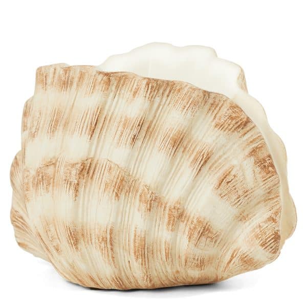 Seashell Scentsy Warmer