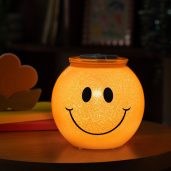 Share a Smile Scentsy Warmer