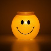 Share a Smile Scentsy Warmer