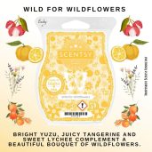 Wild for Wildflowers Scentsy Wax Bar