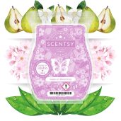 Keep on Blooming Scentsy Bar Styled