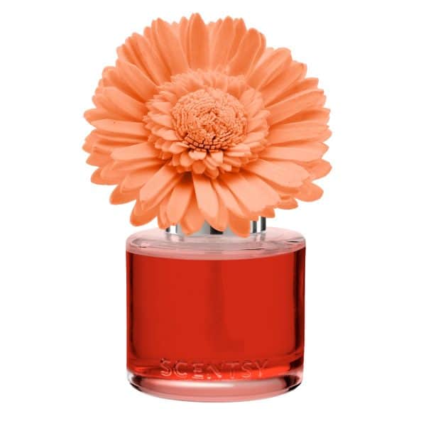 Peach Paradise - Dainty Daisy Scentsy Fragrance Flower