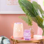 Sakura Scentsy Warmer