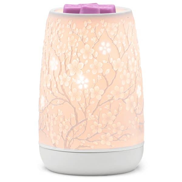 Sakura Scentsy Warmer